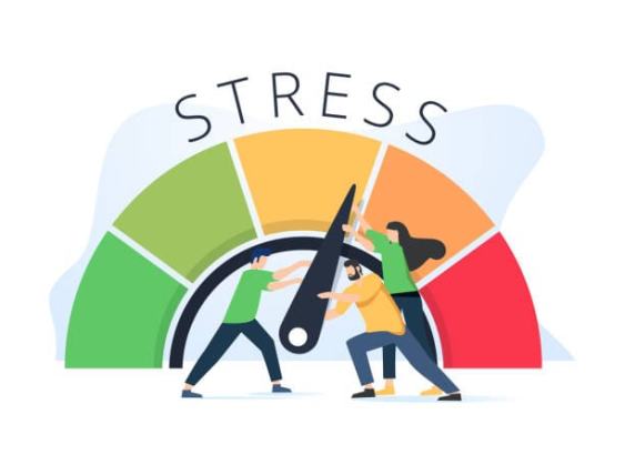 istockphoto 1281326263 612x612 1